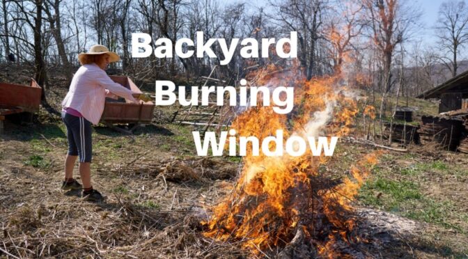 Spring Backyard Burning Window
